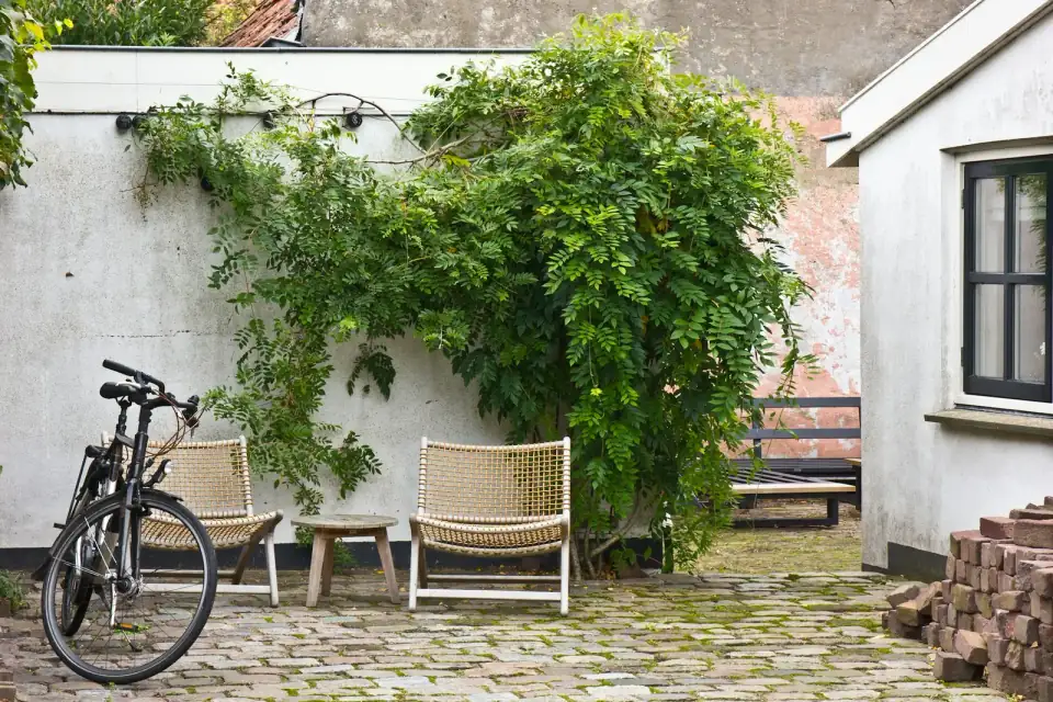Een kleine binnenplaats met klinkers, twee stoelen, een fiets en klimop tegen een witte muur